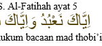 qurdis no.5