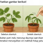 soal ipa 7_11